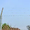 A close-up view of a barbed wire fence with a chain-link fence below it, against a clear blue sky. Some trees and dry grass are visible in the background. Voir les images du produit