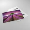 Bilder auf glas - Wiese lavenda Sommer Landschaft - Produktbild-Vorschau 2