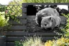 MuchoWow® Produktbild-Vorschau 5