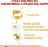 ROYAL CANIN Maltese Adult 1,5kg Podgląd zdjęcia produktu 6