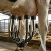 Electric Cow Milking Machine, 6.6 Gal / 25 L 304 Stainless Produktbild-Vorschau 8