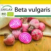 SAFLAX Kultivačný set - BIO - Cvikla - Chioggia - Beta Náhľad obrázku produktu 10