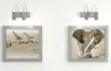 Two framed pictures of African wildlife hanging on a white wall, each illuminated by a spotlight. Anteprima dell’immagine prodotto