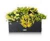 A rectangular planter filled with yellow and green flowers, set against a white background. Produktbild-Vorschau