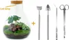 Urbanjngl Flaschengarten Sam mit Lampe - 30 cm Produktbild-Vorschau 6