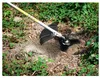 Parkside Benzin Sense Freischneider Rasentrimmer Produktbild-Vorschau 6
