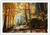 Poster - Poster ohne Rahmen - Herbst berg wald natur - Produktbild-Vorschau 1