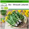 SAFLAX - Bio - Mniszek Lekarski - 400 Nasiona - Z podłożem Podgląd zdjęcia produktu 10