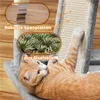 A cat is playing on a cat tree with text overlays highlighting product features. Produktbild-Vorschau