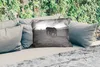 MuchoWow® Outdoor Kissen - Elefant - Einfarbig - Tiere - Produktbild-Vorschau 2