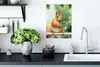 MuchoWow® Poster Eichhörnchen - Rute - Herbst 30x40 cm - Produktbild-Vorschau 3