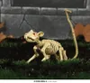Dekorace kostra - KRYSA - Halloween - 20 cm Náhled obrázku produktu 2