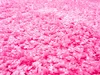 160x230 cm Teppich Efor Shaggy 7182 Pink Produktbild-Vorschau 4