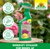 Neudorff BioKraft Vitalkur AF für Rosen 500 ml unbedenklich Produktbild-Vorschau 5