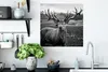 MuchoWow® Poster Tiere - Hirsch - Geweih - Schwarz und weiß Produktbild-Vorschau 3