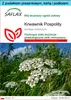 SAFLAX - Zestaw prezentowy - Krwawnik Pospolity - 200 Podgląd zdjęcia produktu 1