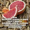 Sprchový gel Axe Alaska 250ml Náhled obrázku produktu 6
