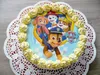 Fondantplatte für Torte Paw Patrol alle Freunde 20cm Produktbild-Vorschau 7