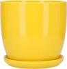 A yellow ceramic flower pot with a matching saucer, isolated on a white background. Anteprima dell’immagine prodotto