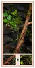 Repiterra® Hochterrarium Seitenbelüftung Holzterrarium OSB Produktbild-Vorschau 2