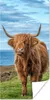 MuchoWow® Poster Schottischer Highlander - Wasser - Hörner Produktbild-Vorschau 1