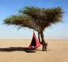Cacoonworld Hängehöhle "Cacoon", Rot, Single, ø 1,5 m Produktbild-Vorschau 13