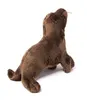 Cornelissen - Peluche - Leone marino - 20 cm Anteprima dell’immagine prodotto 2