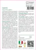 SAFLAX  - Liquirizia - 30 semi - Glycyrrhiza Anteprima dell’immagine prodotto 3