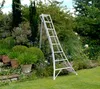 Niwaki Aluminium 3-Holm-Gartenleiter Silber 190x125x243 cm Produktbild-Vorschau 2