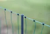 Geflügelnetz Premium, grün,25m 106cm, Doppelspitze, Produktbild-Vorschau 14
