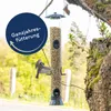 25 kg Lyra Pet® Erdnusskerne SPLITS Neue Ernte Produktbild-Vorschau 3