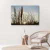 Leinwandbild schilf in der sonne 60x40 cm Feeby blau Produktbild-Vorschau 2