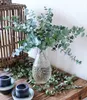 BALDUR Garten 1x Winterharter Eukalyptus Azura® im Produktbild-Vorschau 3