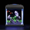 A small black aquarium with two red guppy fish, rocks, and green plants inside, set against a black background. Náhled obrázku produktu