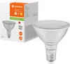 A product shot of an LED light bulb and its packaging. Anteprima dell’immagine prodotto