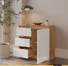A modern sideboard with drawers and a door, next to a plant and a lamp. Voir les images du produit