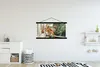 MuchoWow® Textilposter Eichhörnchen - Fenster - Herbst - Produktbild-Vorschau 2