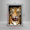 Gerahmtes Poster - Schwarzer Rahmen - tiger tier - 70x100 Produktbild-Vorschau 5