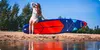 Thunder Stripes 320 Stand Up Paddle Board 320 x 75 x 15 cm Produktbild-Vorschau 5