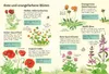 Ich erkunde die Natur: Unsere Wildblumen Produktbild-Vorschau 2