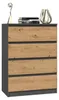 Topeshop M4 ANTRACYT/ARTISAN, Anthrazit, Eiche, 4 Produktbild-Vorschau 8