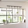 Hanging planters with plants displayed on a windowsill. Podgląd zdjęcia produktu