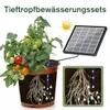 Solar Bewässerungssystem Automatisches Set, Automatische Produktbild-Vorschau 3