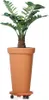 A potted plant in a terracotta pot with wheels on a white background. Voir les images du produit