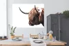 MuchoWow® Poster Schottischer Highlander - Kuh - Hoorn Produktbild-Vorschau 3