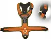 Niggeloh harnais de chien Follow 3 L orange/olive Voir les images du produit 1