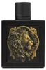 Rayhaan Lion, 100 ml, Eau de Parfum, herenparfum Productafbeelding-voorbeeld 1