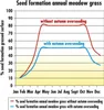 A line graph showing seed formation percentages over months for annual meadow grass, comparing scenarios with and without autumn overseeding. Voir les images du produit