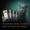 Sheba  Sauce Collection Rybne Smaki W Sosie Mokra Karma Dla Podgląd zdjęcia produktu 15