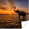 MuchoWow® Poster Elefant - Meer - Tiere - Sonnenuntergang - Produktbild-Vorschau 1